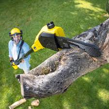 Best Weed Control  in Belmont, VA