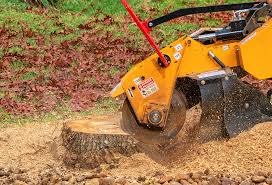 Best Lawn Irrigation Installation and Maintenance  in Belmont, VA