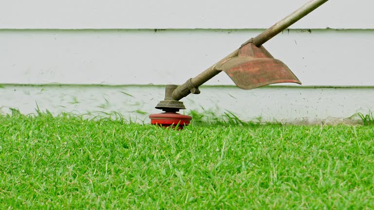Best Stump Grinding and Removal  in Belmont, VA