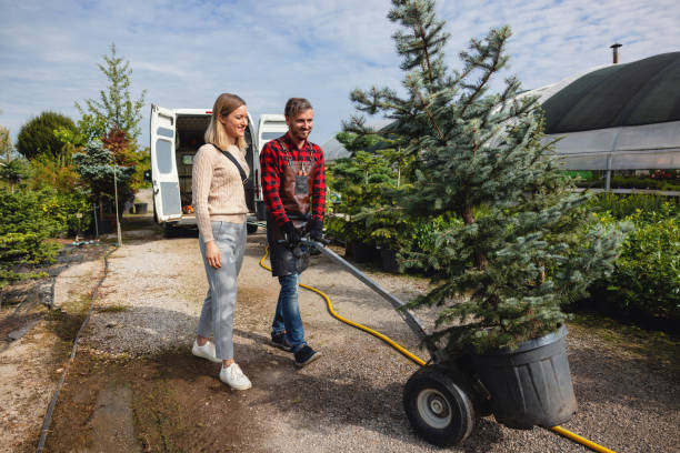 Best Tree Trimming and Pruning  in Belmont, VA